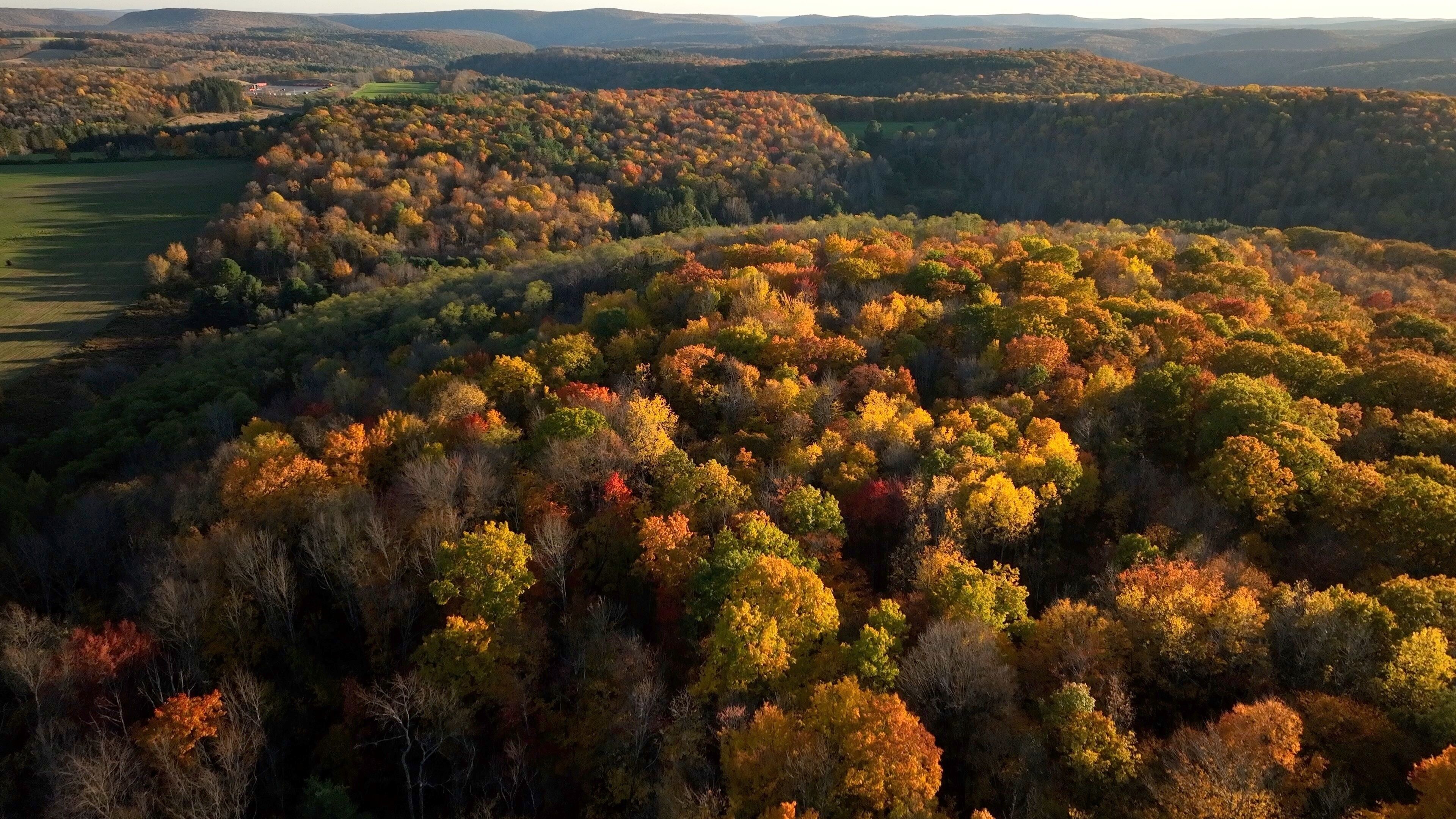 Sunset over mountains, forest and trees in Fall Autumn colors near Pennsylvania Grand Canyon 