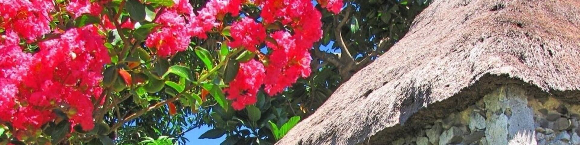 A traditional Ivatan stone house. It is made of thick limestone walls to withstand strong winds. #Batanes #Philippines