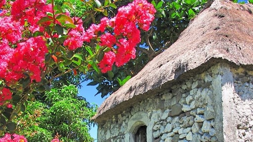 A traditional Ivatan stone house. It is made of thick limestone walls to withstand strong winds. #Batanes #Philippines