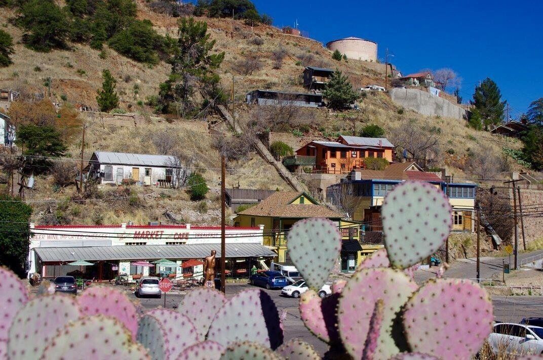 A small town with a market, cars, and cacti in the foreground.