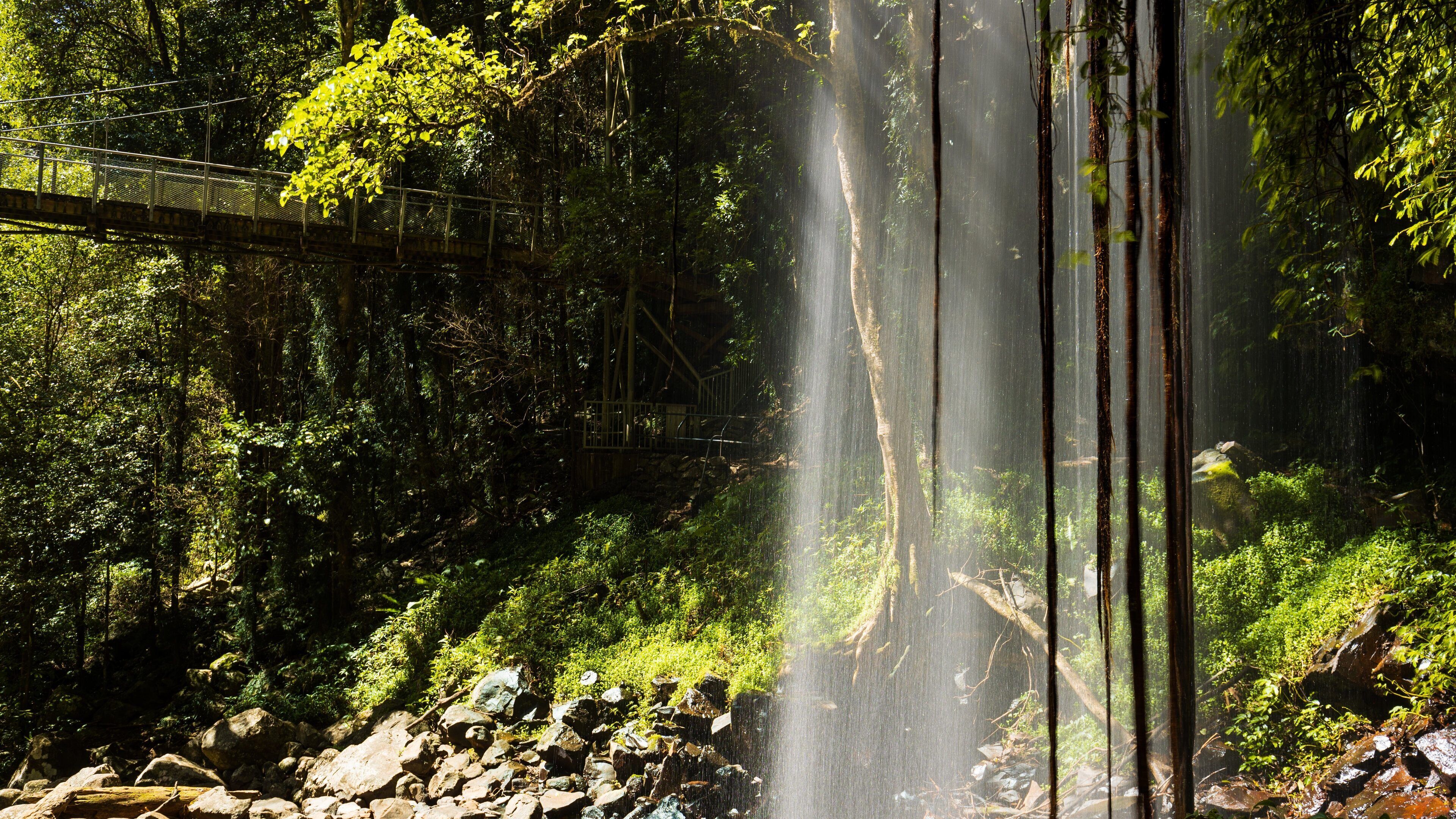 Crystal Shower Falls Walk Trailhead which includes a cascade and forests