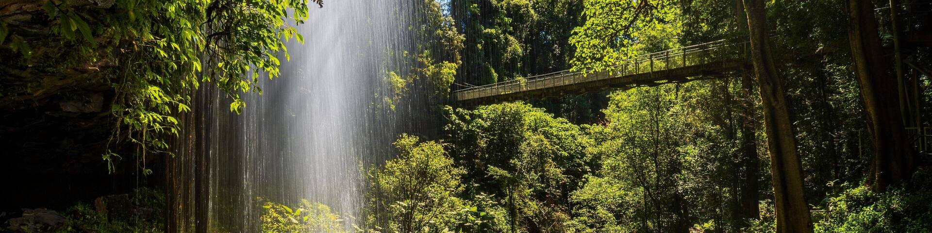 A waterfall cascading into a forested area with a bridge.