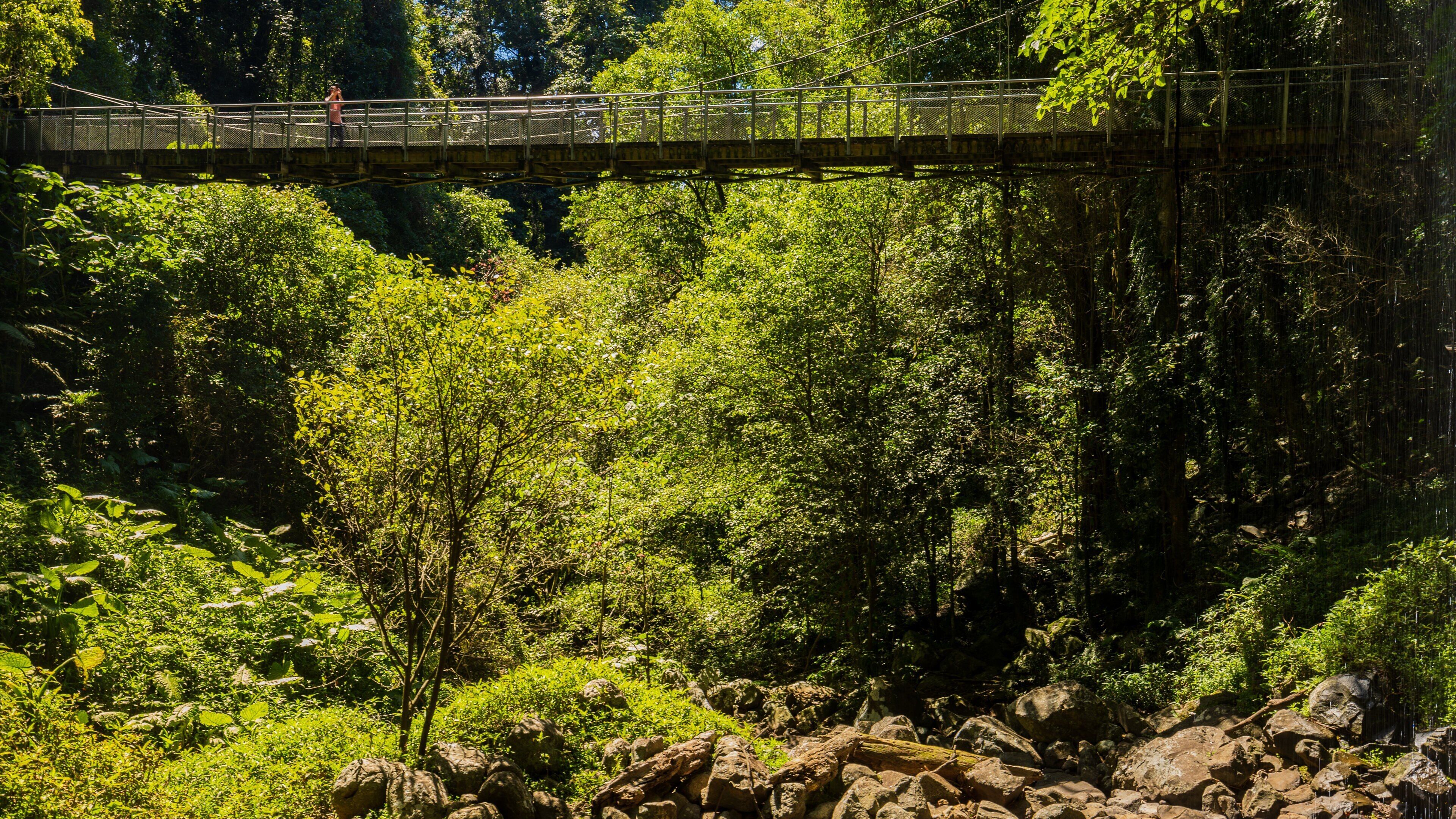 Crystal Shower Falls Walk Trailhead which includes a bridge and forests