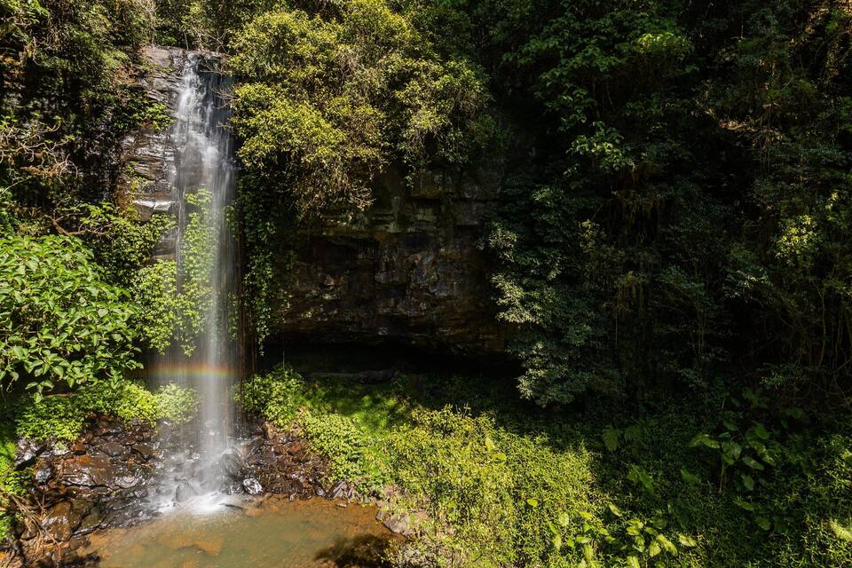 A waterfall cascading down a rocky cliff surrounded by dense green foliage.