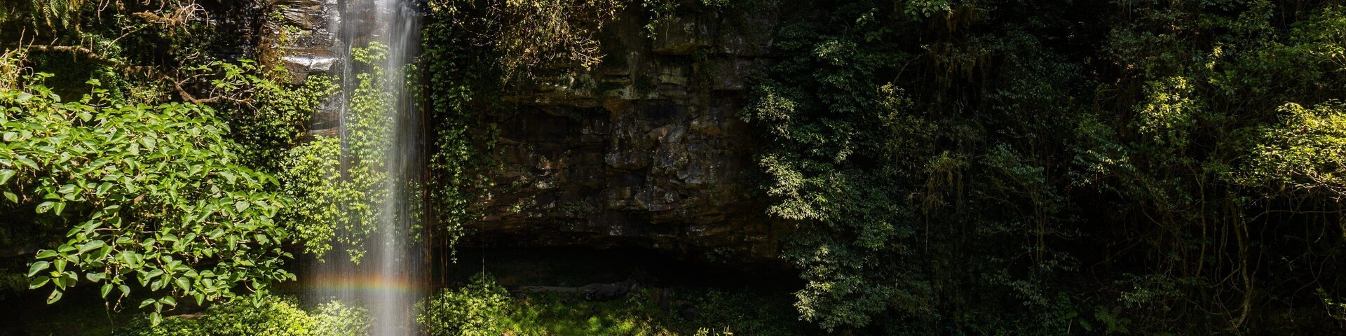 Crystal Shower Falls Walk Trailhead which includes a waterfall