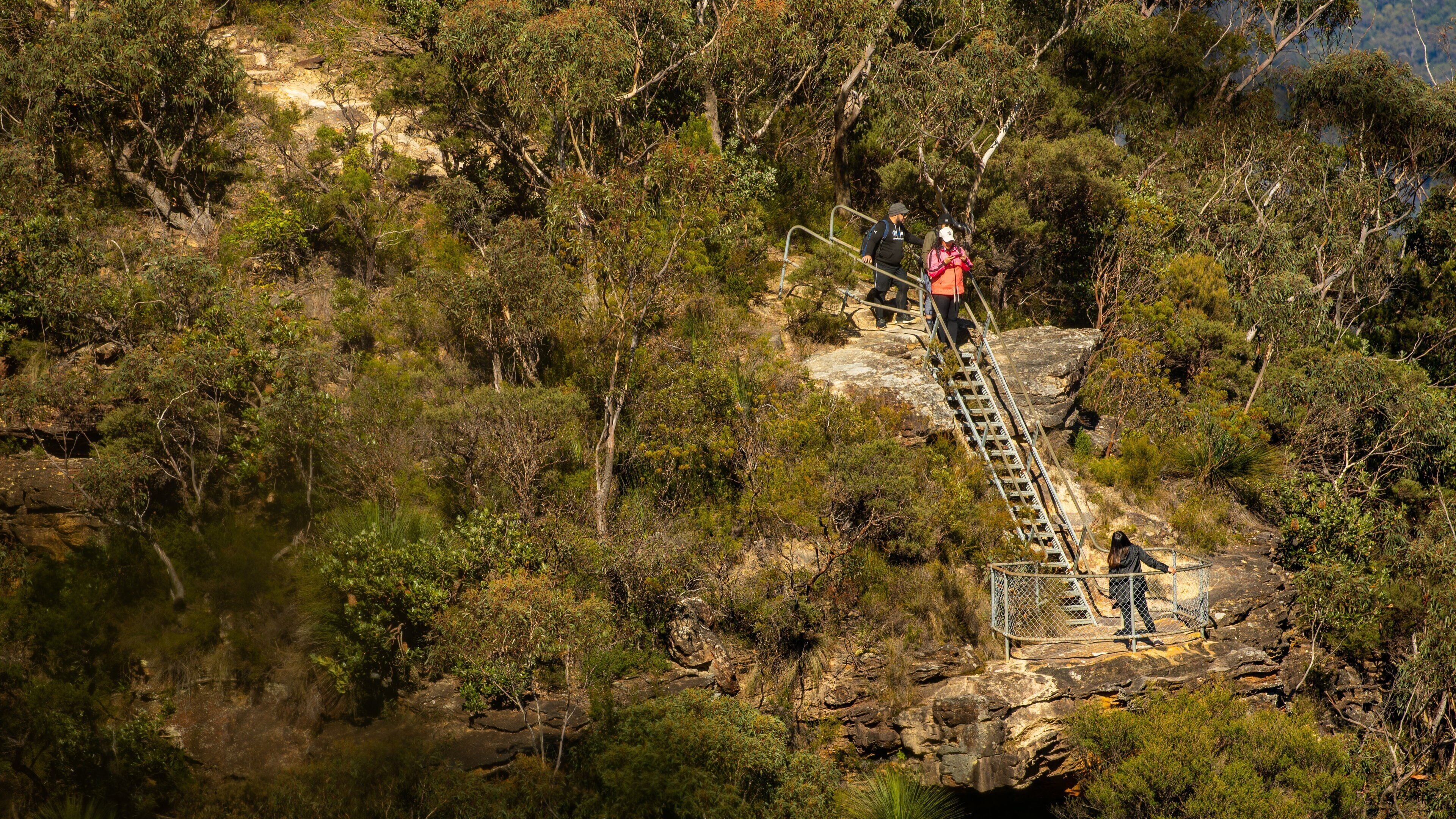 Prince Henry Cliff Walk Trailhead featuring tranquil scenes as well as a small group of people