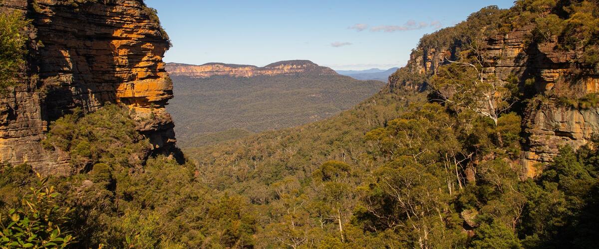Prince Henry Cliff Walk Trailhead showing tranquil scenes and a gorge or canyon