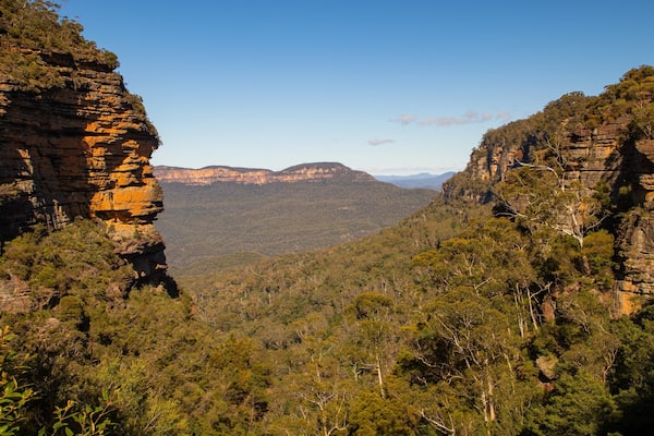 Prince Henry Cliff Walk Trailhead showing tranquil scenes and a gorge or canyon