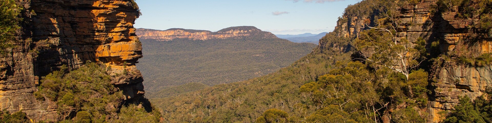 Prince Henry Cliff Walk Trailhead showing tranquil scenes and a gorge or canyon