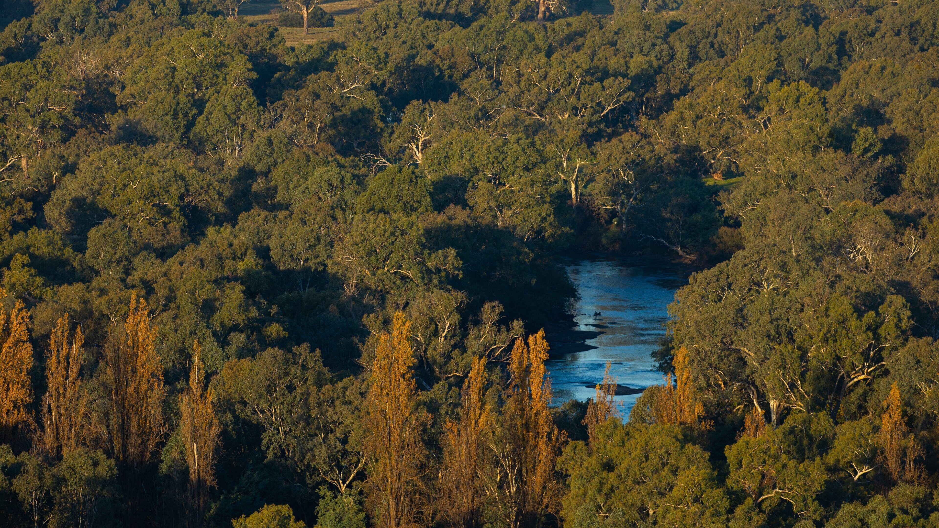 Hume and Hovell Walking Track Trailhead showing a river or creek and forest scenes
