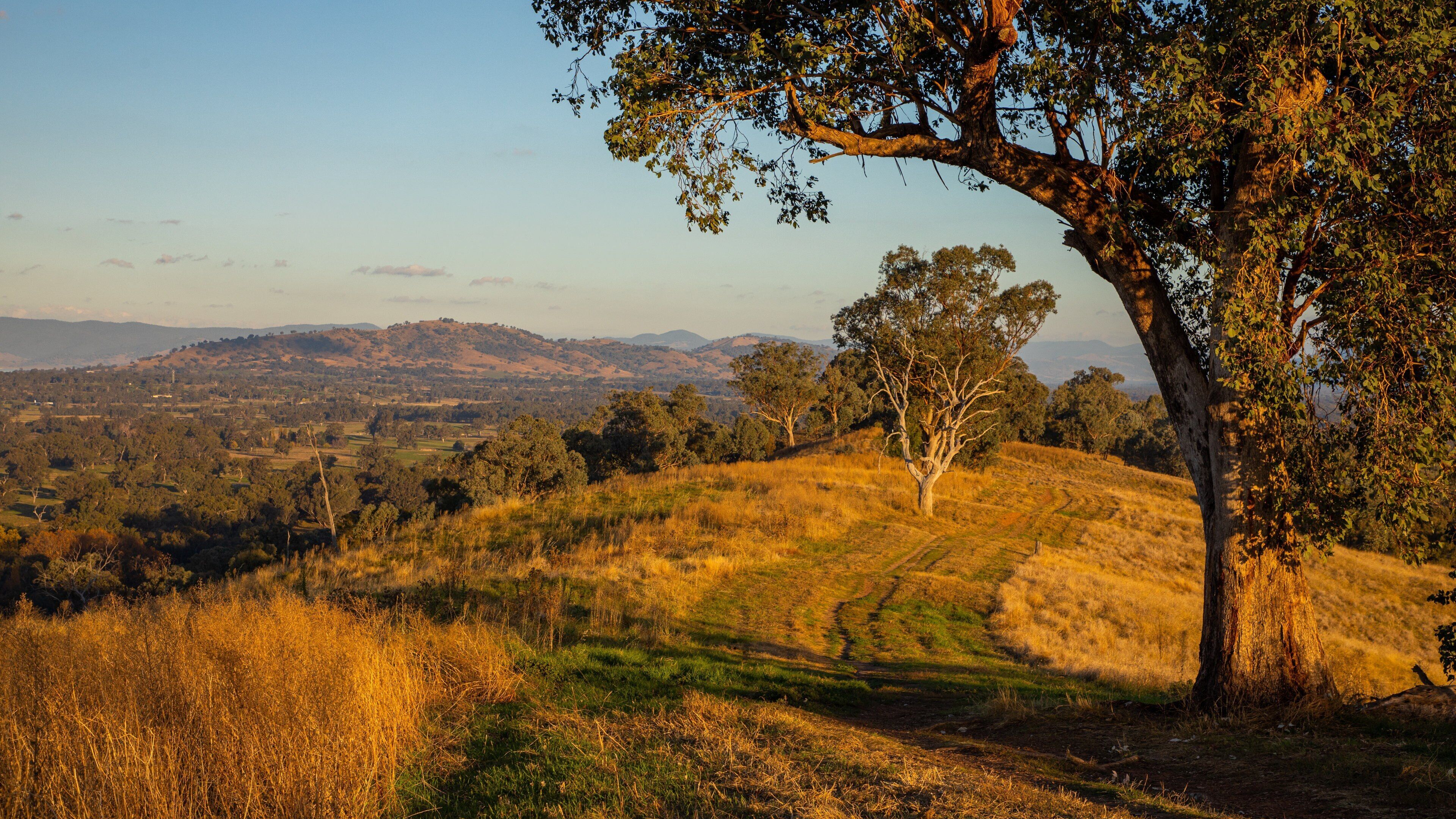 Hume and Hovell Walking Track Trailhead showing a sunset, landscape views and tranquil scenes
