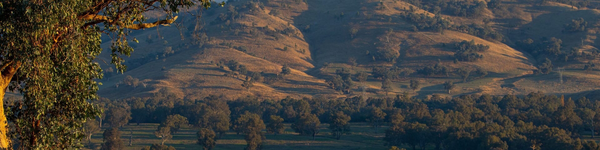 Albury which includes landscape views and tranquil scenes as well as a couple