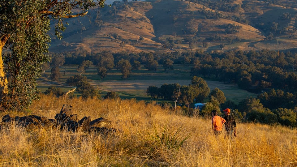 Paisaje montañoso con un árbol y dos personas al frente.