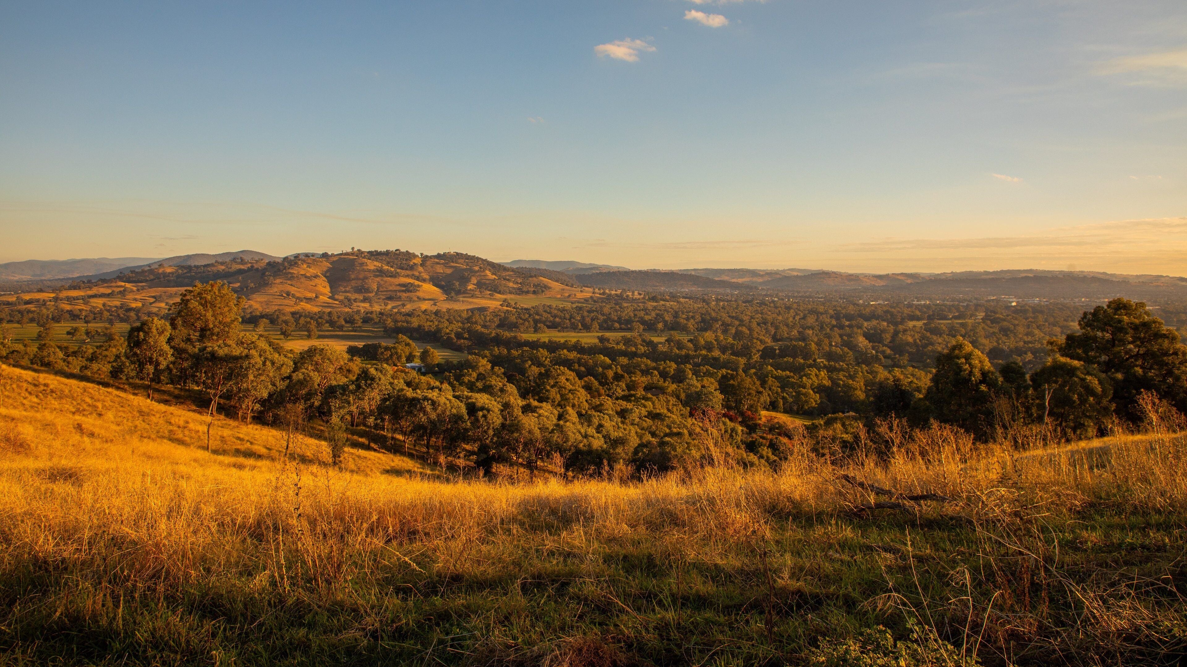 A panoramic view of rolling hills, dense forests, and a distant cityscape under a clear sky.