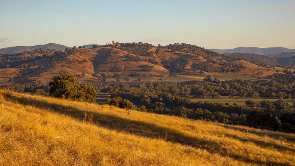 Albury featuring tranquil scenes, landscape views and a sunset