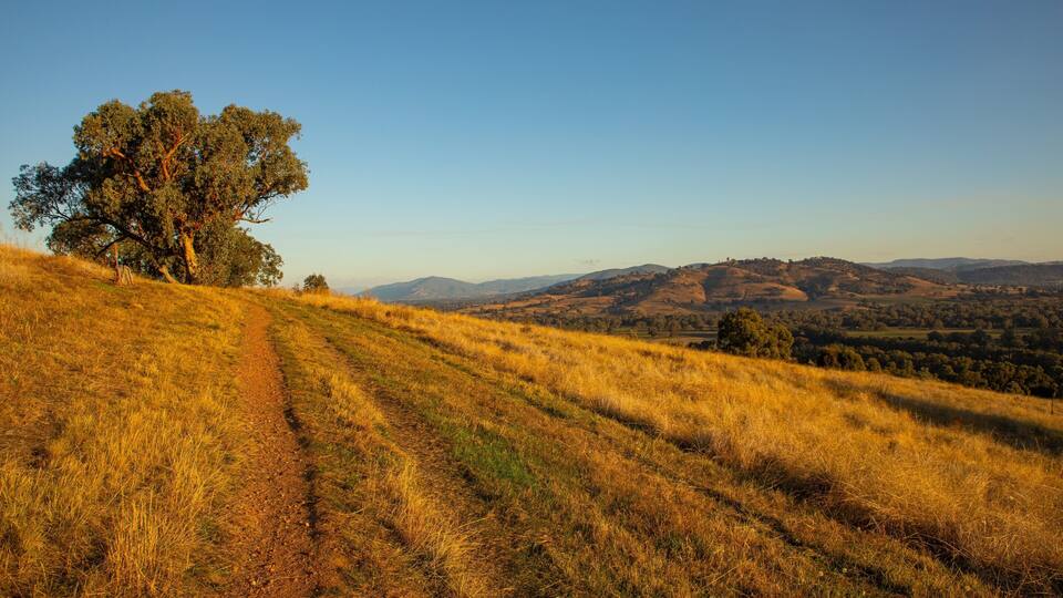 Albury showing tranquil scenes and a sunset