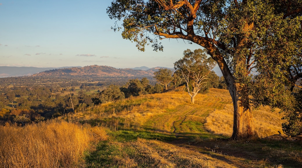 Hume and Hovell Walking Track Trailhead showing a sunset and tranquil scenes