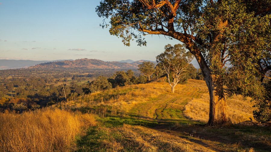 Hume and Hovell Walking Track Trailhead showing a sunset and tranquil scenes