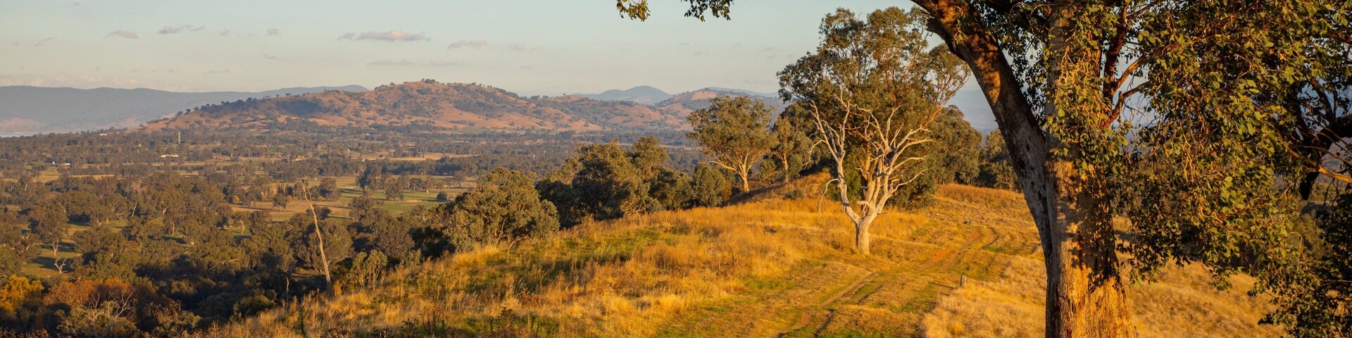 Hume and Hovell Walking Track Trailhead showing a sunset and tranquil scenes
