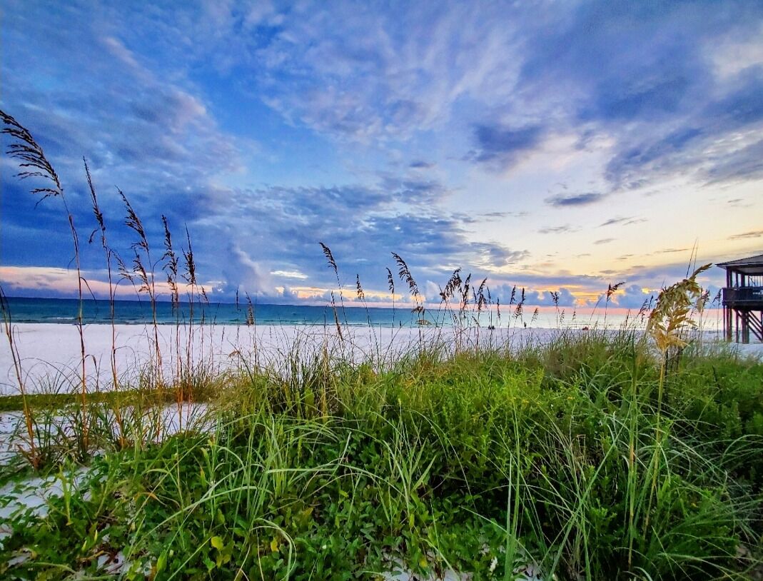 Blue Mountain Beach - 30A