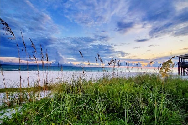 Uma praia com gramíneas altas em primeiro plano, céu claro e uma construção distante à direita.