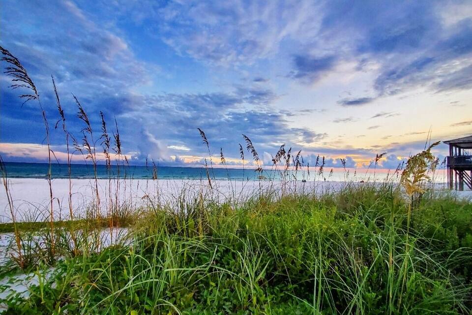 A beach with tall grasses in the foreground, a clear sky, and a distant structure on the right.