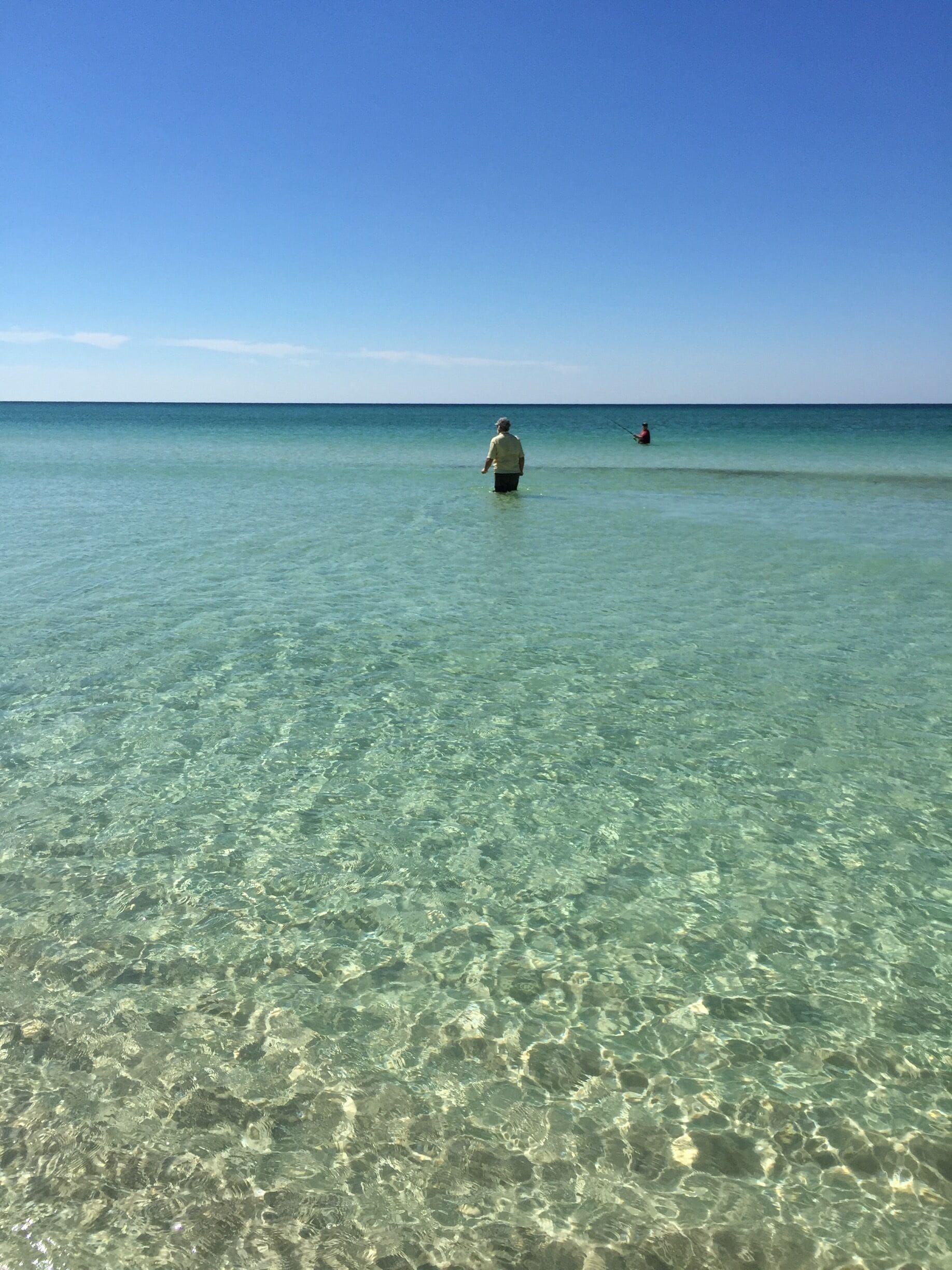 Grayton beach is a gorgeous beach and is interesting because it has a coastal dune lake 