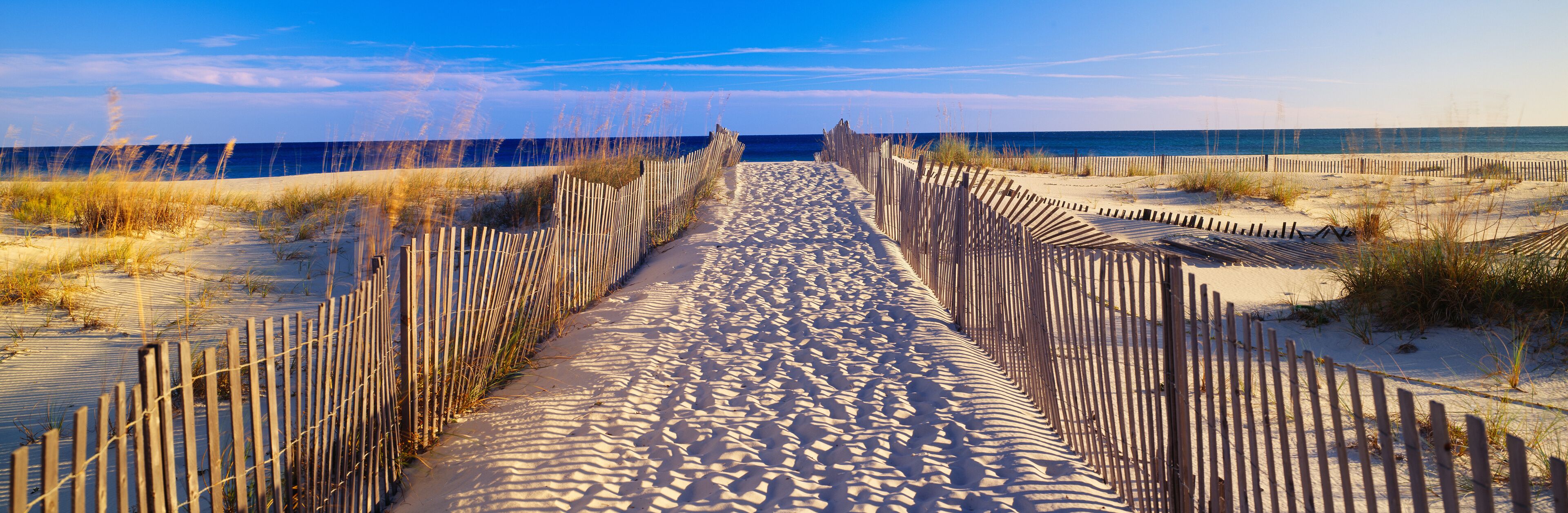 Pathway and sea oats on beach at Santa Rosa Island near Pensacola, Florida