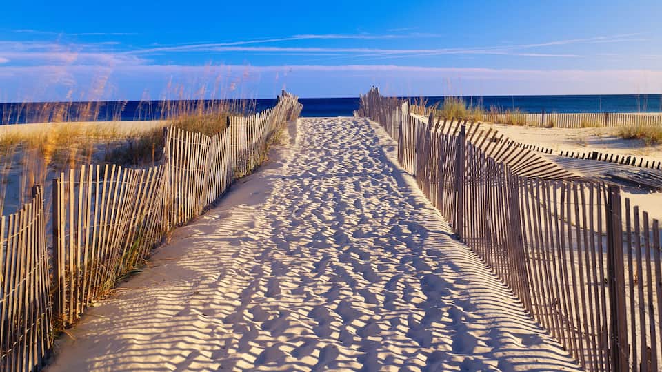 Pathway and sea oats on beach at Santa Rosa Island near Pensacola, Florida
