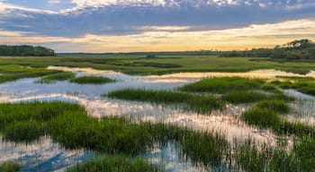 Southern marsh views at sunset