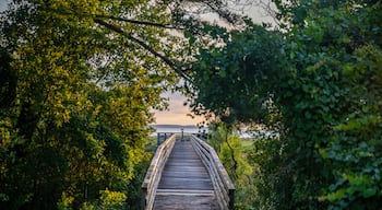 hilton head island, south carolina