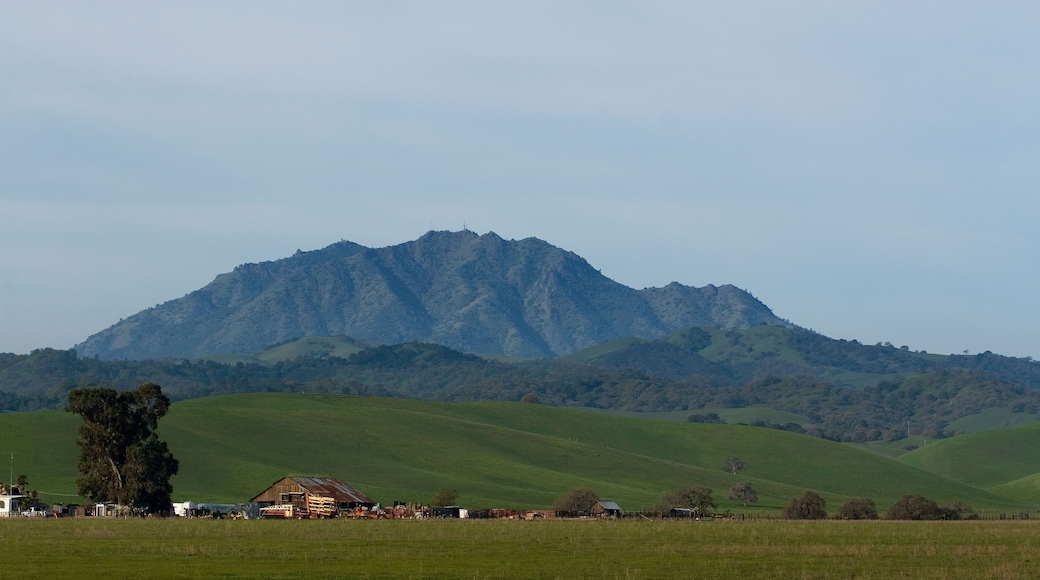AW6M8G Mount Diablo is seen beyond the rolling green hills of Antioch, California on Friday, March 7, 2008. (Photo by Kevin Bartram)