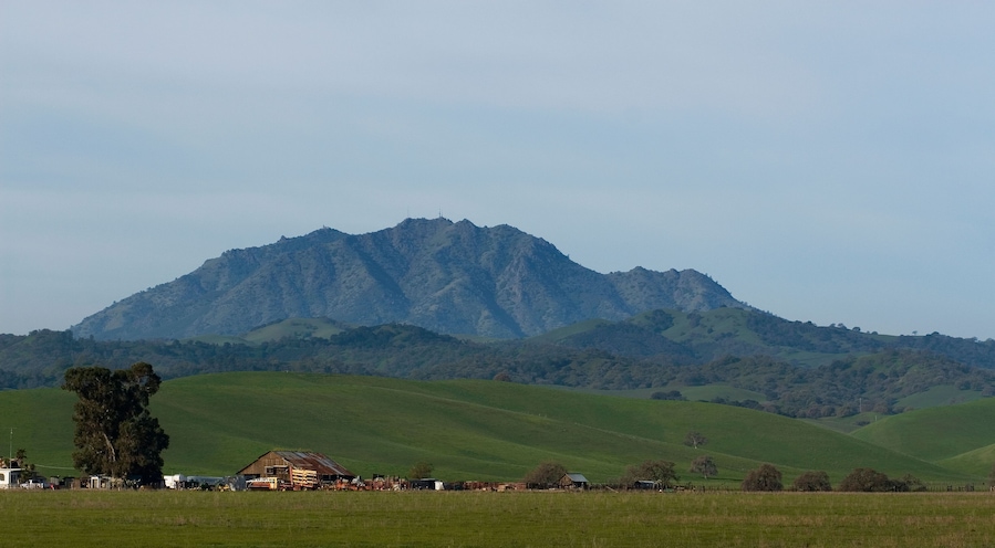 AW6M8G Mount Diablo is seen beyond the rolling green hills of Antioch, California on Friday, March 7, 2008. (Photo by Kevin Bartram)