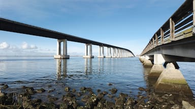 Antioch bridge in the delta region of california