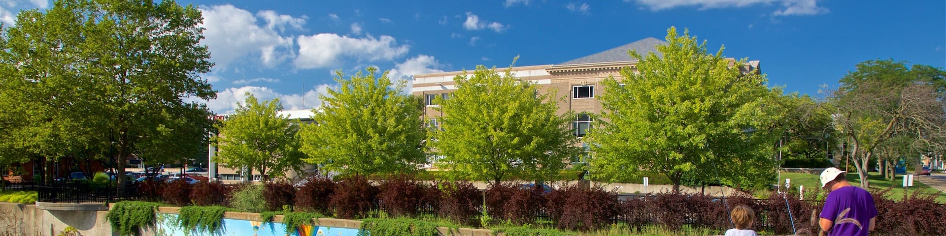 Battle Creek som visar utsikter, en å eller flod och utomhuskonst