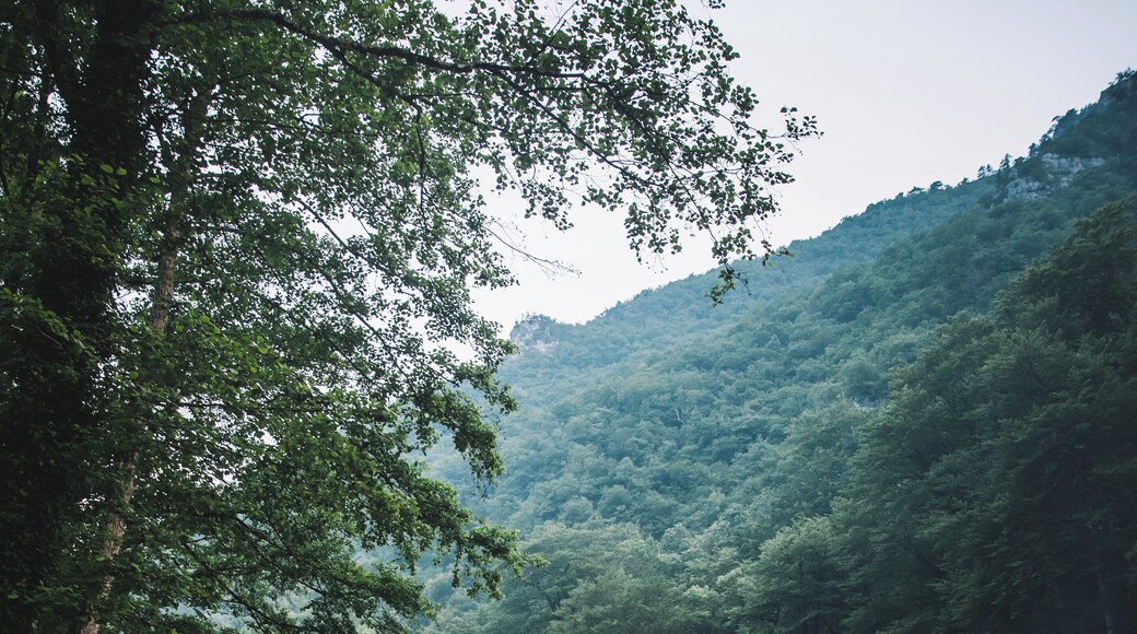 The end of the first day on the Tara river.
2 days of rafting on the cold beautiful emerald river Tara, peddling 90km through fantastic nature in the deepest canyon of Europe.
A day filled with lots of fun, slivo and friends....
in the evening a campfire and some music....then sleeping on the banks of the river. What else do you need? 🔥
#montenegro #rafting #tara #outside #river
Make sure you follow me on:
https://www.facebook.com/ShotByCanipel/
https://www.instagram.com/canipel/