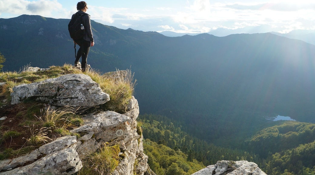 Don't pay attention to the signs - the hike up Mt Bendovac takes longer than it says! But it's absolutely worth it. Most of the hike is along a gravel track and the trees are so high you can't see much at all. But once you get to the top, you have a beautiful view over Biogradska National Park. #hiking