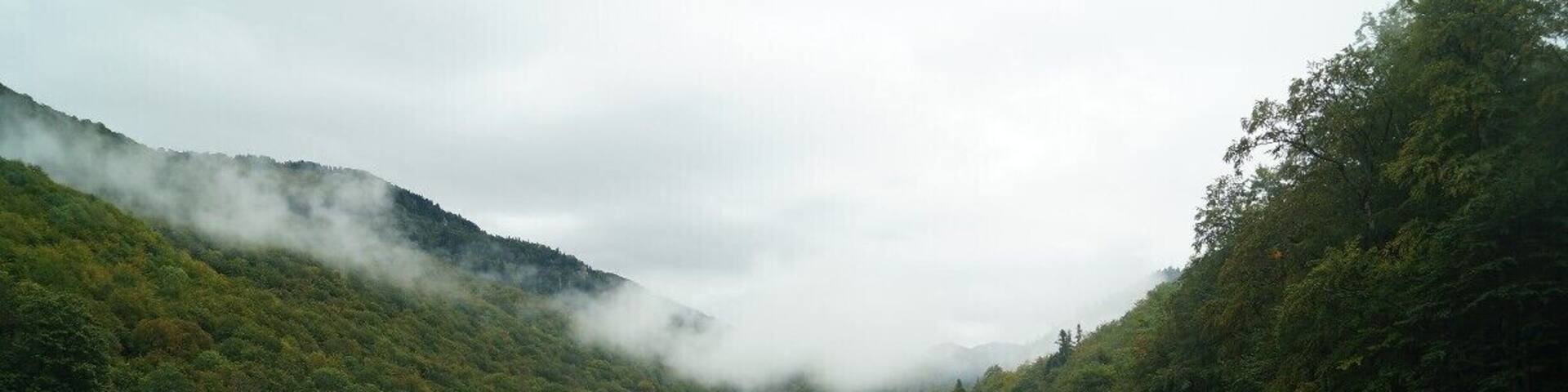 Montenegro has four national parks and Biogradska Gora is the smallest and oldest. This is Biogradska Lake, and you can take a very easy walk around it in less than an hour.
More adventurous walkers can walk to Mt Bendovac, although be warned the walk takes almost double the advertised 1 hour and 45 minutes.
There is no public transport from the nearest town of Kolasin, to Biogradska. A bus can drop you at the bottom of the road to the lake, but it's about an hour walk. Either hire a taxi to bring you here or ask other visitors in the town and see if anyone is driving out here.
#nationalpark