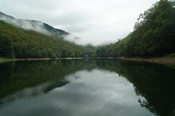 Montenegro has four national parks and Biogradska Gora is the smallest and oldest. This is Biogradska Lake, and you can take a very easy walk around it in less than an hour.
More adventurous walkers can walk to Mt Bendovac, although be warned the walk takes almost double the advertised 1 hour and 45 minutes.
There is no public transport from the nearest town of Kolasin, to Biogradska. A bus can drop you at the bottom of the road to the lake, but it's about an hour walk. Either hire a taxi to bring you here or ask other visitors in the town and see if anyone is driving out here.
#nationalpark