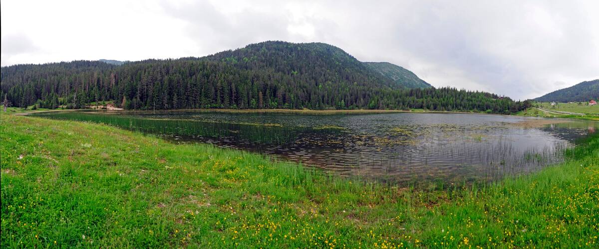 Bergweiher im Nationalpark Biogradska Gora - Montenegro