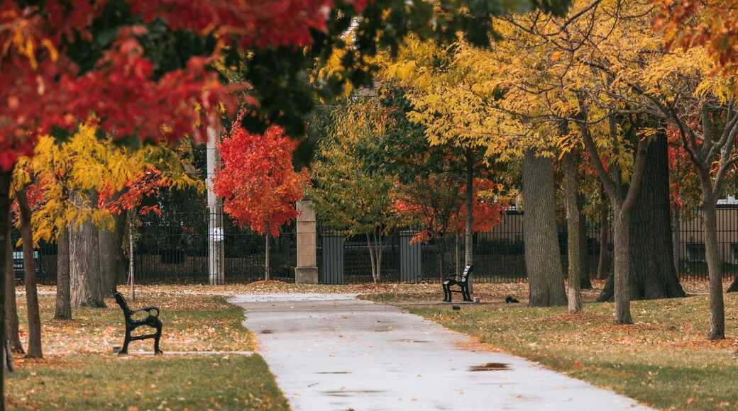 Willistead Park Trail Trailhead which includes autumn leaves and a park