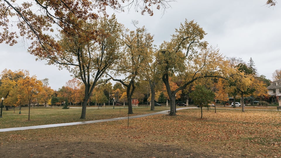 A park with autumn trees, a pathway, and a grassy area.