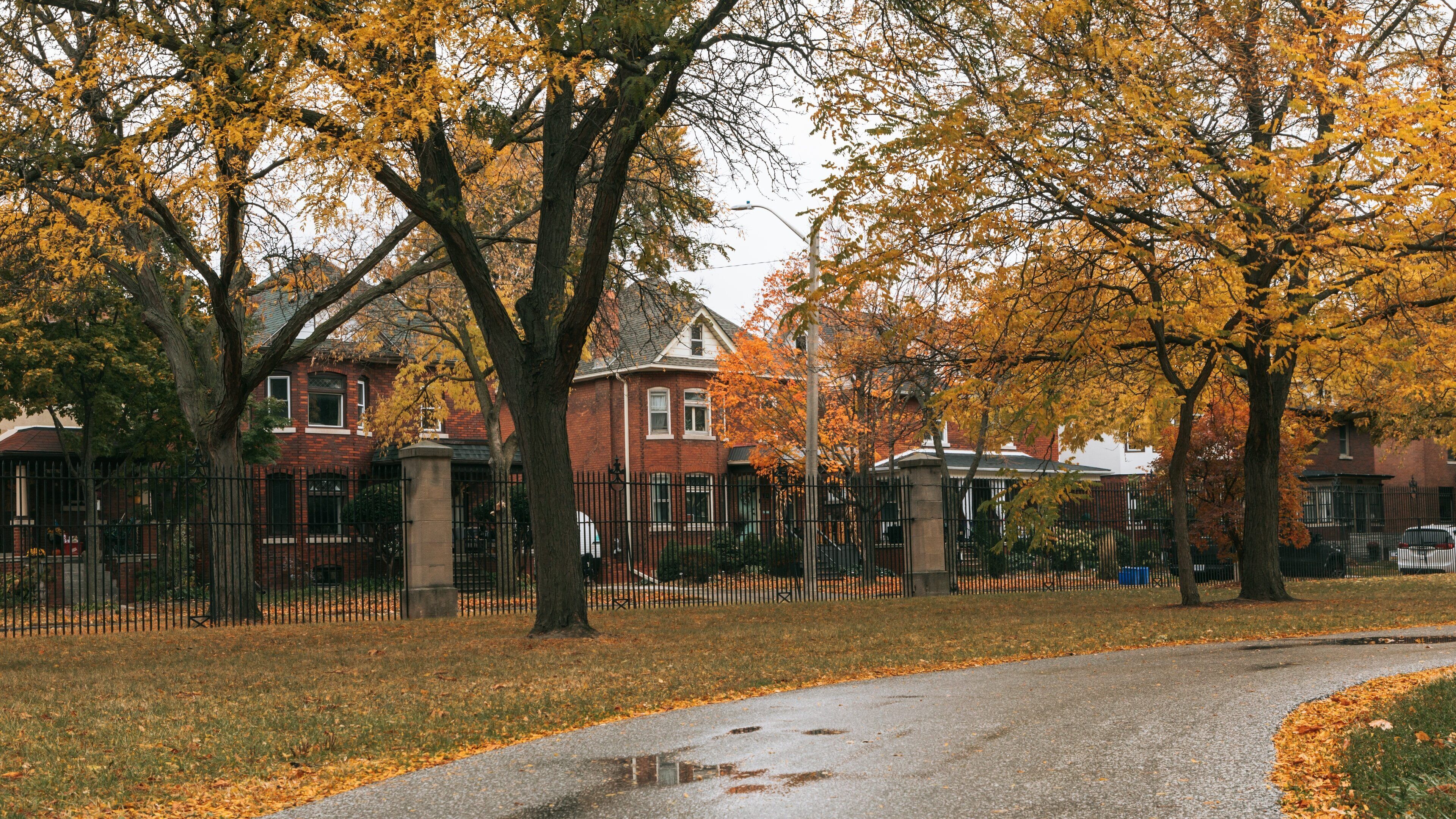 Willistead Park Trail Trailhead showing a small town or village and autumn leaves