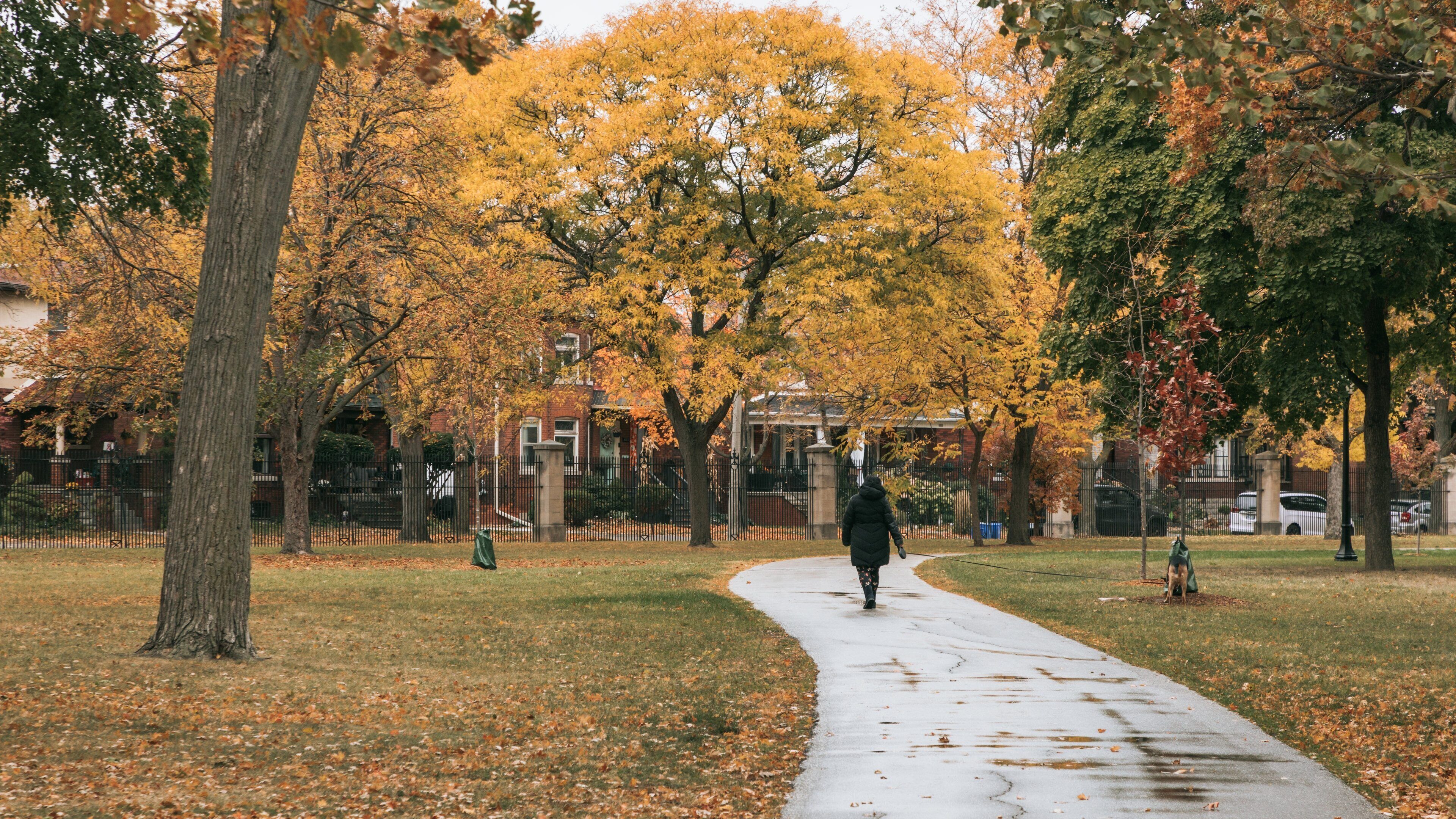 Willistead Park Trail Trailhead featuring a garden and fall colors as well as an individual femail