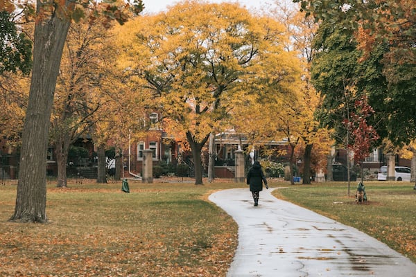 Willistead Park Trail Trailhead featuring a garden and fall colors as well as an individual femail