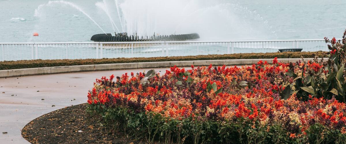 Reaume Park and Coventry Gardens Walking Trails Trailhead showing a fountain, wildflowers and a garden