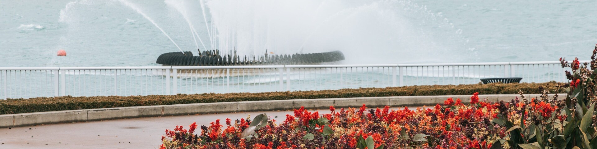 Reaume Park and Coventry Gardens Walking Trails Trailhead showing a fountain, wildflowers and a garden