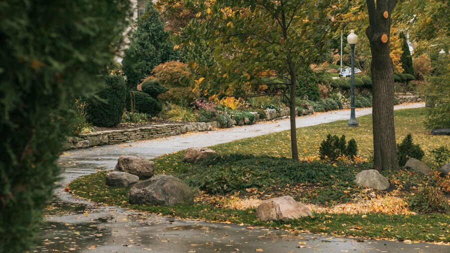 Reaume Park and Coventry Gardens Walking Trails Trailhead which includes a park and fall colors