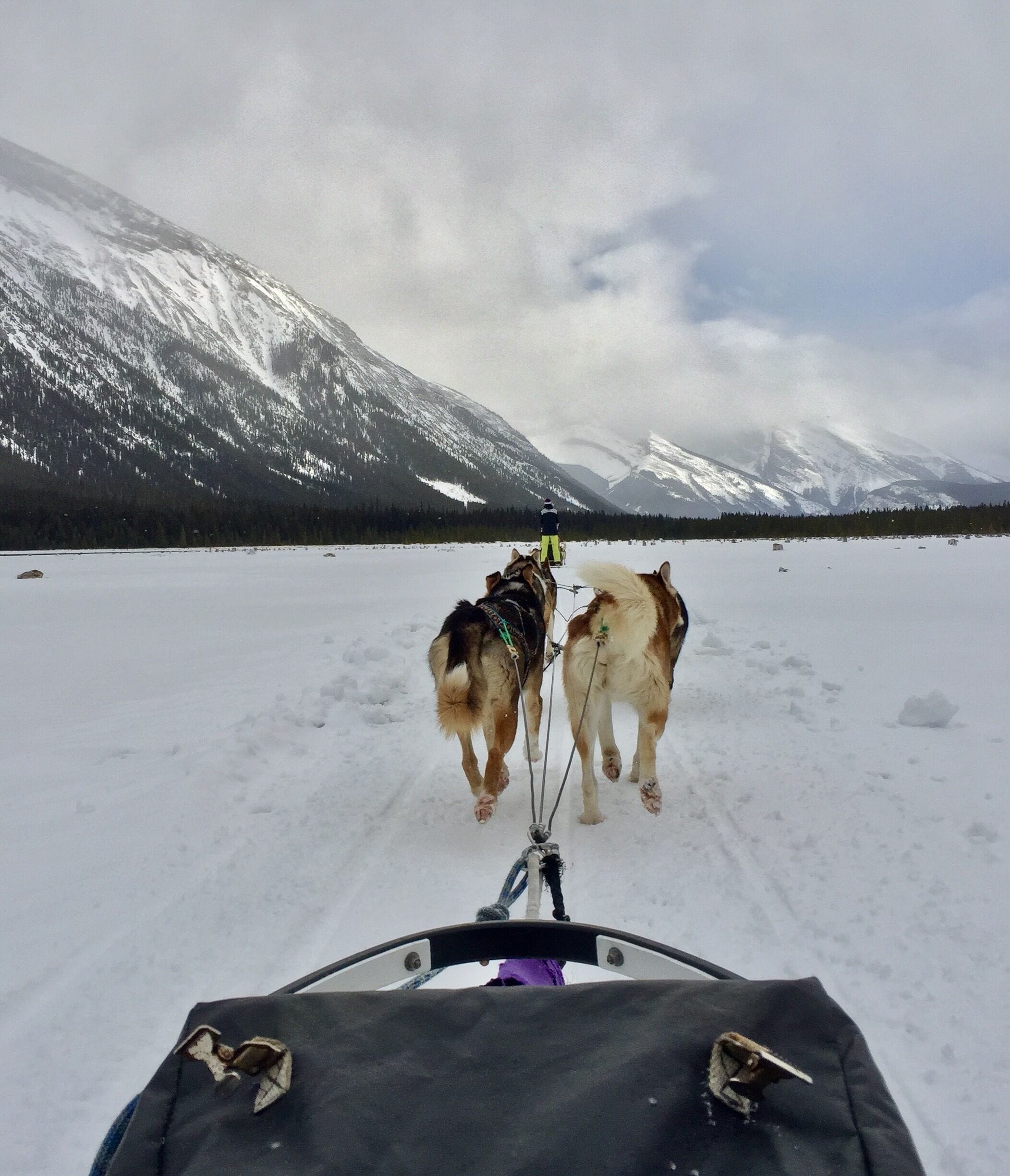 Best mode of transportation on a frozen mountain lake outside of Canmore, Alberta. A Canadian winter wonderland!
