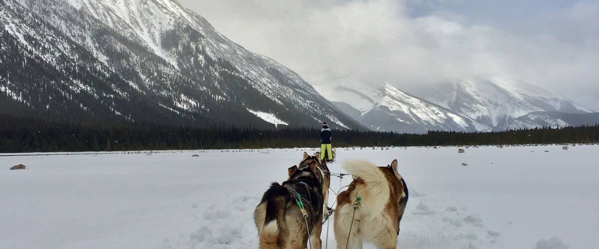 Best mode of transportation on a frozen mountain lake outside of Canmore, Alberta. A Canadian winter wonderland!